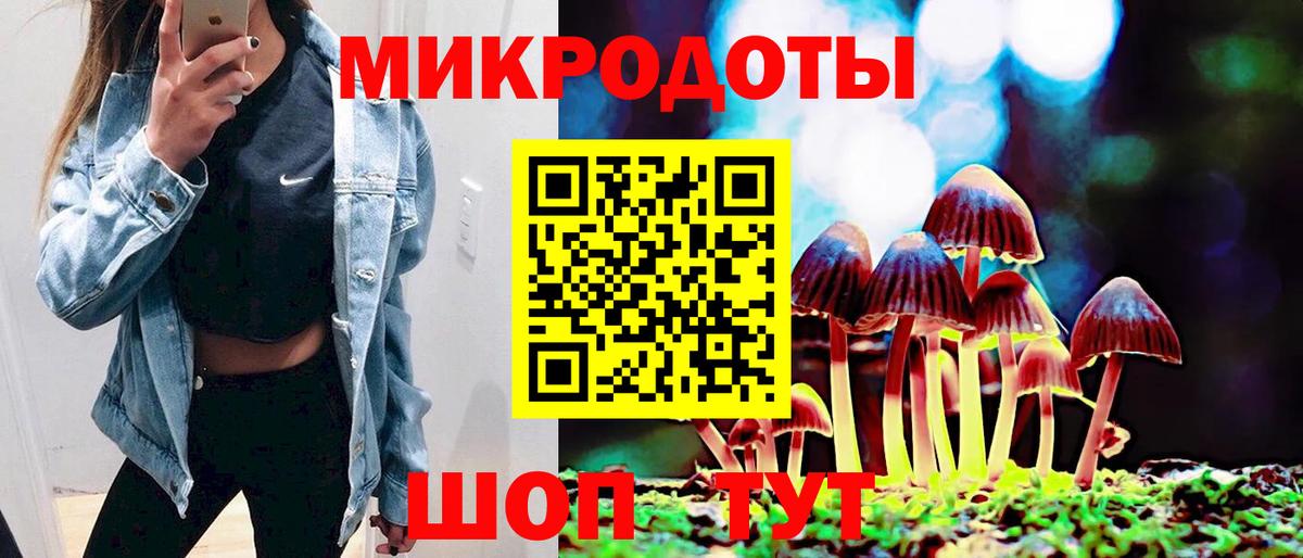 Галлюциногенные грибы GOLDEN TEACHER  Вход с VPN  Тавда 