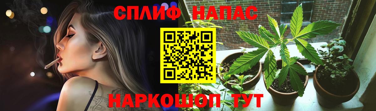 Тавда  Каннабис семена  Марихуана VHQ  Бошки Шишки индика  Конопля AK-47  Вход с VPN 